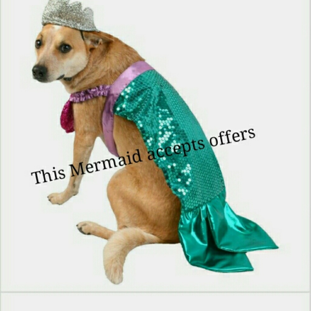 Pretty Stuff - image 1